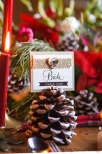 PLATZKARTEN / TISCHKARTEN  
 Rustikale Eco-Hochzeitsplatzkarten Ecru Eco Hochzeit Platzkarten, Rustikale Hochzeit Platzkarten, Birkenherz und natürliche Jutesack Hochzeit Namenskarten, Eco Rustikale Namensschilder, Bearbeitbarer Text, Rustikale Hochzeit6