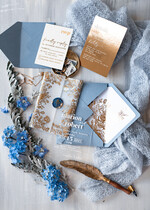 HOCHZEITS EINLADUNGEN Gold / Roségold / Silber / Glitzer Maßgeschneiderte Acryl-Eisblau-Hochzeitseinladung, Glamour staubige blaue Hochzeitseinladungen, moderne goldene Plexi-Hochzeitseinladung Suite, Boho Glam Hochzeitseinladungen mit Wachssiegel.22