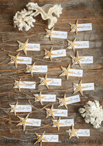 PLATZKARTEN / TISCHKARTEN  
 Strand-/Marin-/Destination Hochzeits Thema Elegante Marine-Hochzeitsplatzkarten mit einem Seestern und Jute-Schnur, minimalistische Namensschilder für Ihre Hochzeitstische, romantische Hochzeitsplatzschilder, bearbeitbarer Text3