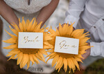 PLATZKARTEN / TISCHKARTEN  
 Luxus Premium Glitzer/ Gold/ Silber/ Roségold Ecru Hochzeitsplatzkarten, Ecru Minimalistische Hochzeitsbegleitkarten mit Goldfolien-Druck, Elegante Platzkarten, Hochzeits-Tabellen-Namenskarten, Personalisierte Hochzeitsdekoration3
