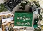 FOTOALBUM/ FOTOBOX Velvet Foto Box Fotografen Box Smaragdgrüne Samt-Fotobox Fotograf Hochzeit Erinnerungsbox, Grün Custom Andenkenbox, Garten Fotograf Geschenke für Kunden, Hochzeitsbilder Verpackung, Individuelle Fotografiebox22